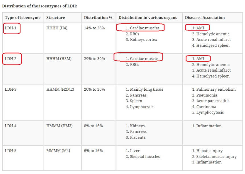 LDH 종류 표