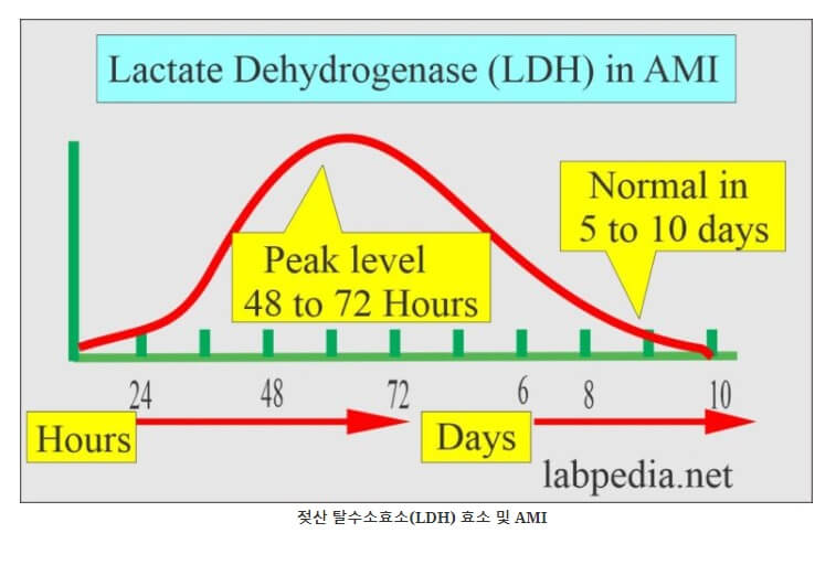 LDH와 심근경색 관계 그랲