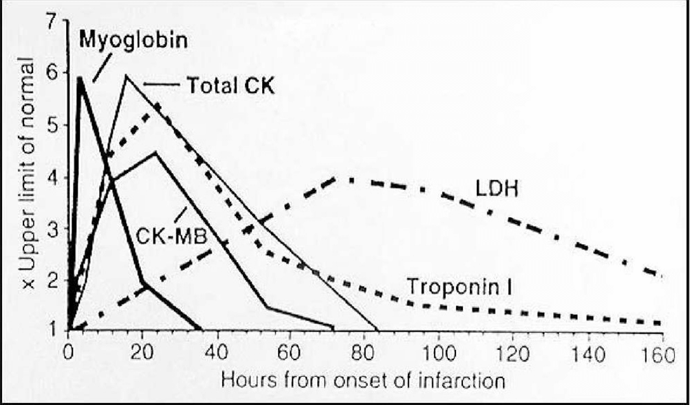 cardiack marker peak time grape