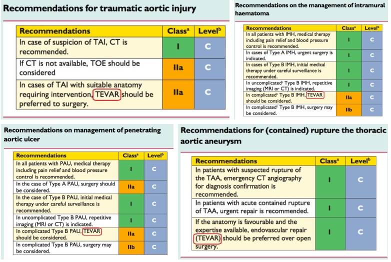 ESC 가이드라인 TEVAR 고려 사항