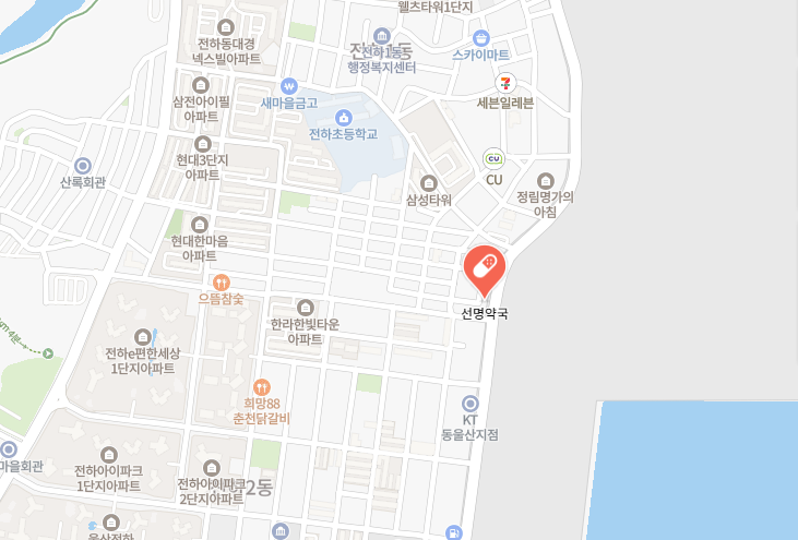 울산 동구 선명약국 위치 지도