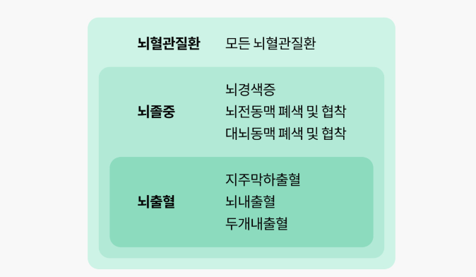 뇌혈관질환 보험 종류 사진