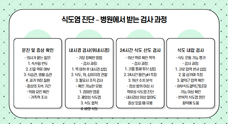 식도염 진단 과정 정리 내용 사진