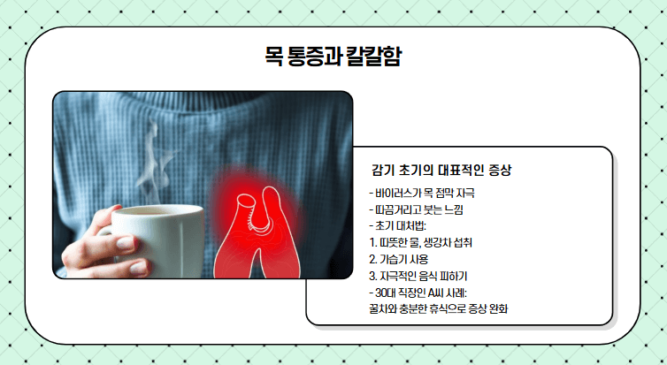 감기 초기증상 목통증 내용 사진