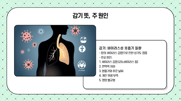 감기 원인 내용 정리 사진