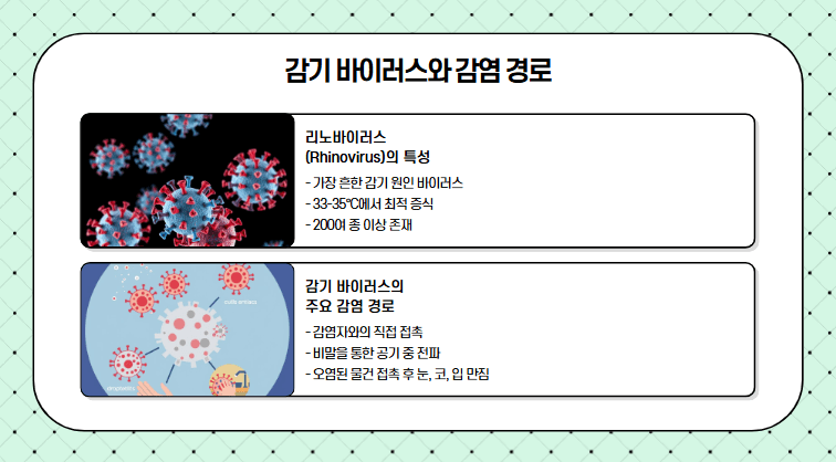 감기 원인 바이러스, 감염 경로 사진