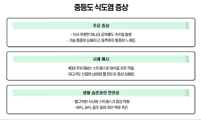 중증도 식도염 증상 내용 사진